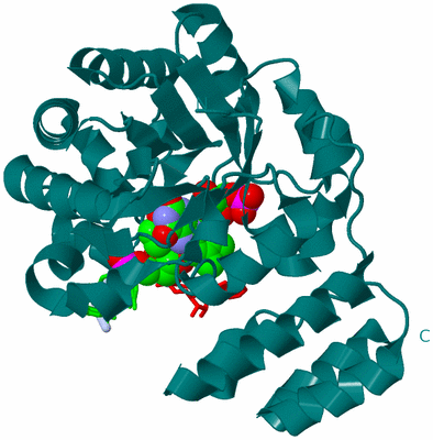 Image Biological Unit 1