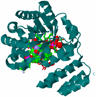 Image Biol. Unit 1 - sites