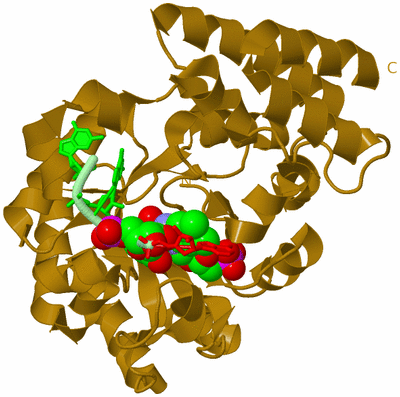 Image Biological Unit 2