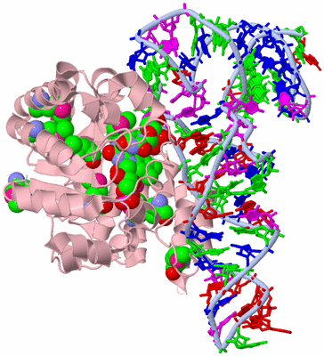 Image Biological Unit 1