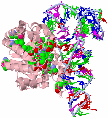 Image Biol. Unit 1 - sites