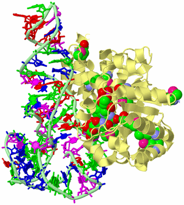 Image Biological Unit 2