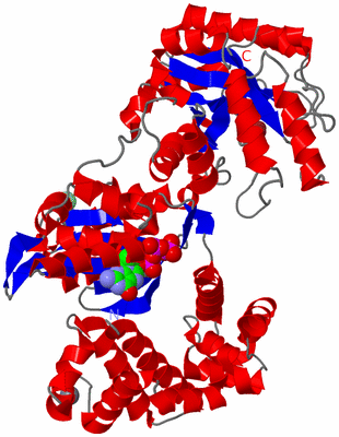 Image Asym./Biol. Unit