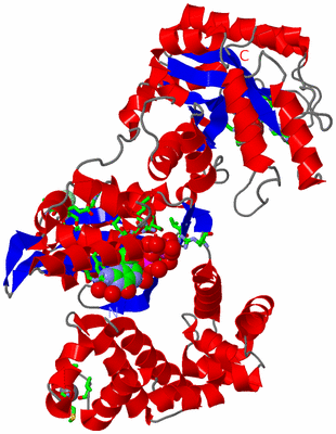 Image Asym./Biol. Unit - sites