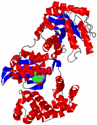 Image Asym./Biol. Unit