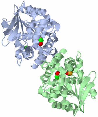 Image Asym./Biol. Unit