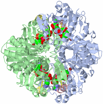 Image Biological Unit 1