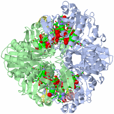 Image Biol. Unit 1 - sites