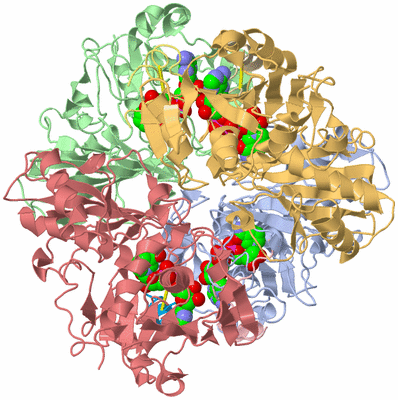 Image Asym./Biol. Unit