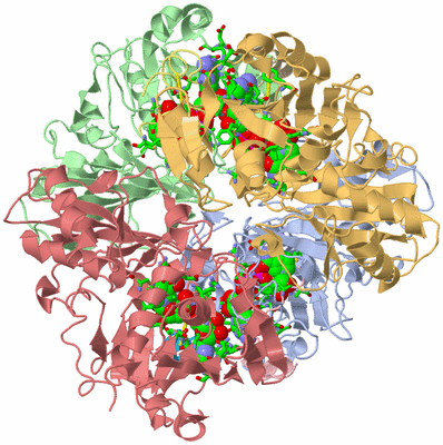 Image Asym./Biol. Unit - sites