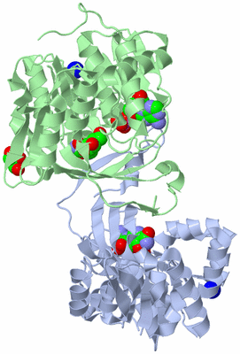 Image Asym./Biol. Unit