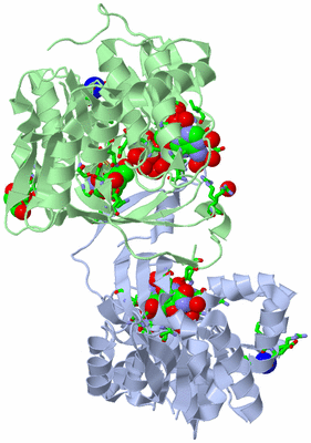 Image Asym./Biol. Unit - sites