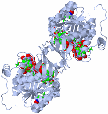 Image Biol. Unit 1 - sites