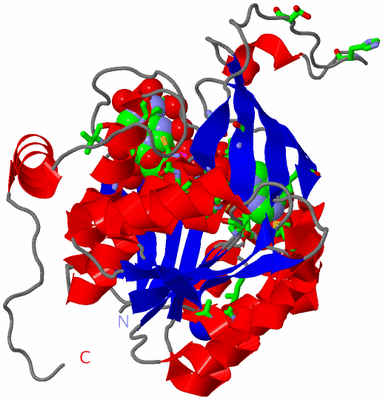 Image Asym. Unit - sites