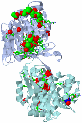 Image Biol. Unit 1 - sites