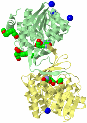 Image Biological Unit 2