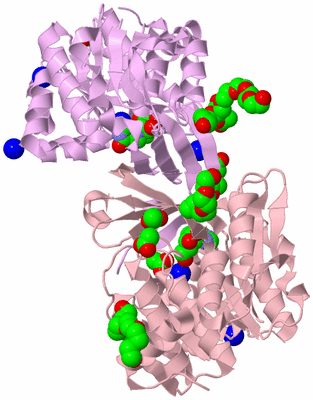 Image Biological Unit 3