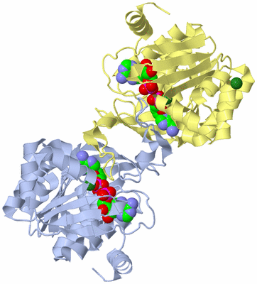 Image Biological Unit 1