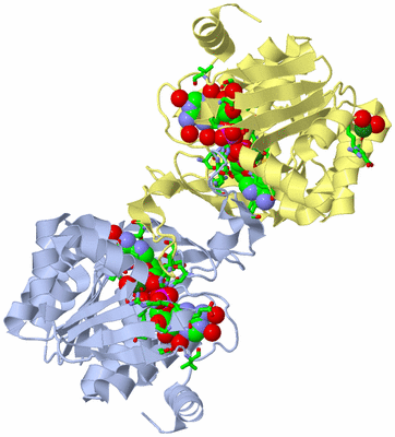 Image Biol. Unit 1 - sites