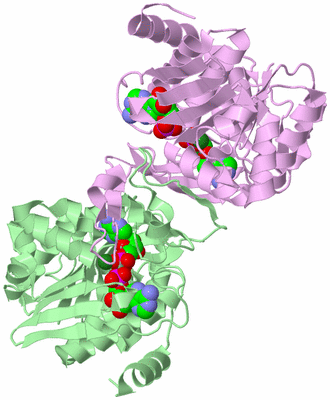 Image Biological Unit 2