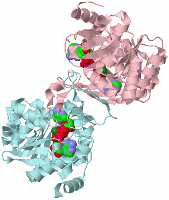 Image Biological Unit 3