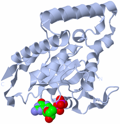 Image Biological Unit 1