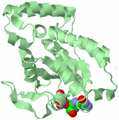 Image Biological Unit 2