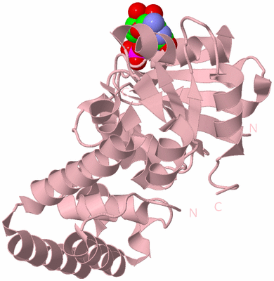 Image Biological Unit 3