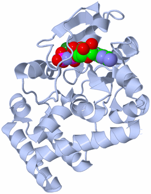 Image Biological Unit 1