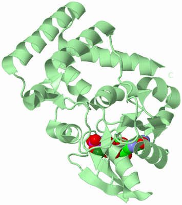 Image Biological Unit 2