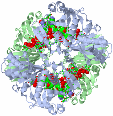 Image Biol. Unit 1 - sites