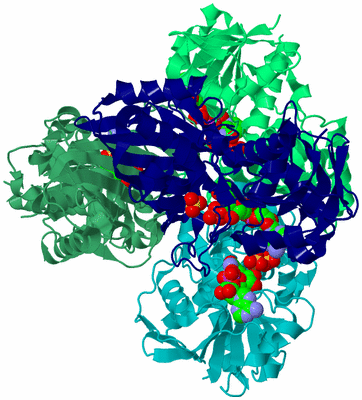 Image Biological Unit 2