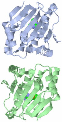 Image Asymmetric Unit