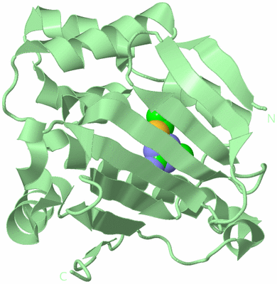 Image Biological Unit 2