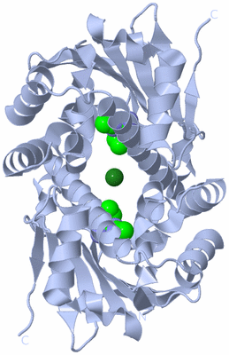 Image Biological Unit 3