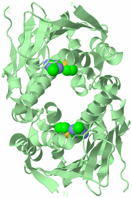 Image Biological Unit 4