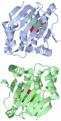 Image Asym. Unit - sites