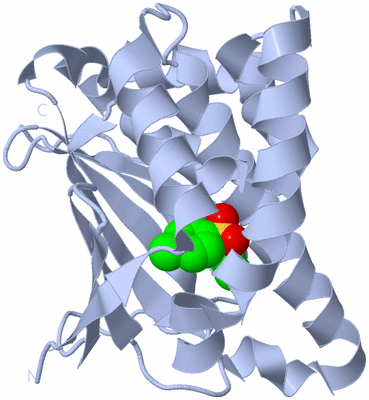 Image Biological Unit 1