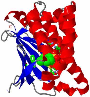 Image Asym. Unit - sites