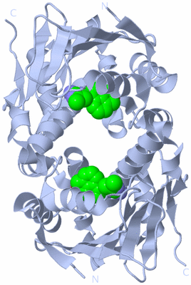 Image Biological Unit 3