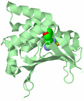 Image Biological Unit 2