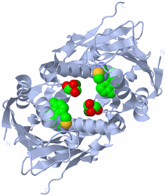 Image Biological Unit 3