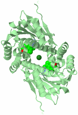 Image Biological Unit 4