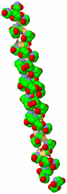 Image Biological Unit 3