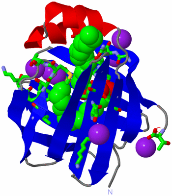 Image Asym./Biol. Unit - sites