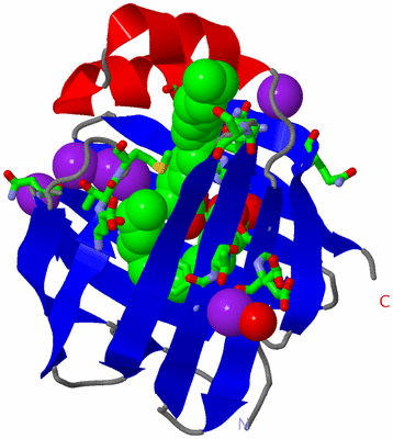 Image Asym./Biol. Unit - sites