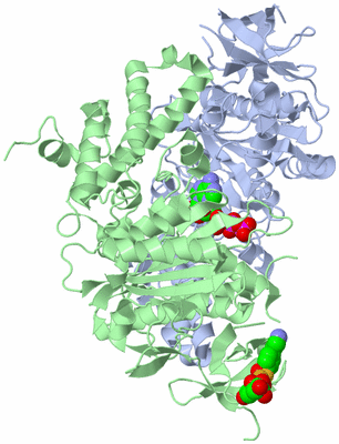 Image Asym./Biol. Unit