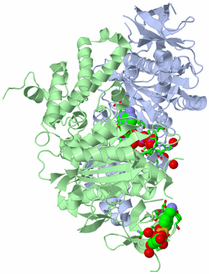 Image Asym./Biol. Unit - sites