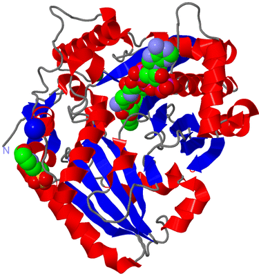 Image Asym./Biol. Unit