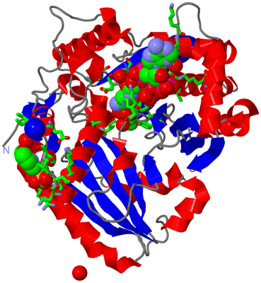 Image Asym./Biol. Unit - sites